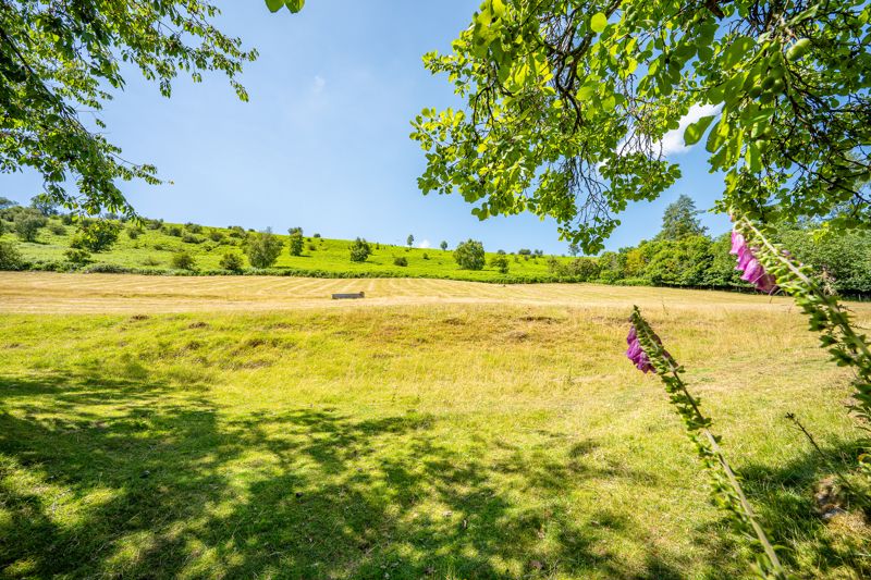 Land- click for photo gallery